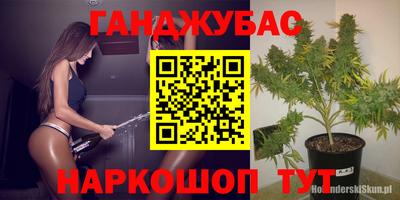 индика Кимры