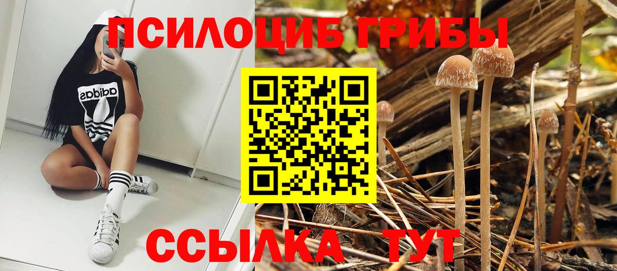 Коммунар  Галлюциногенные грибы мухоморы  Вход с VPN 